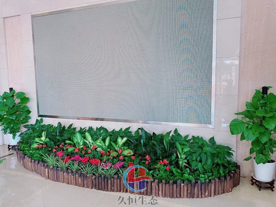 鄞州企业大厅显示屏组合花卉绿植摆放