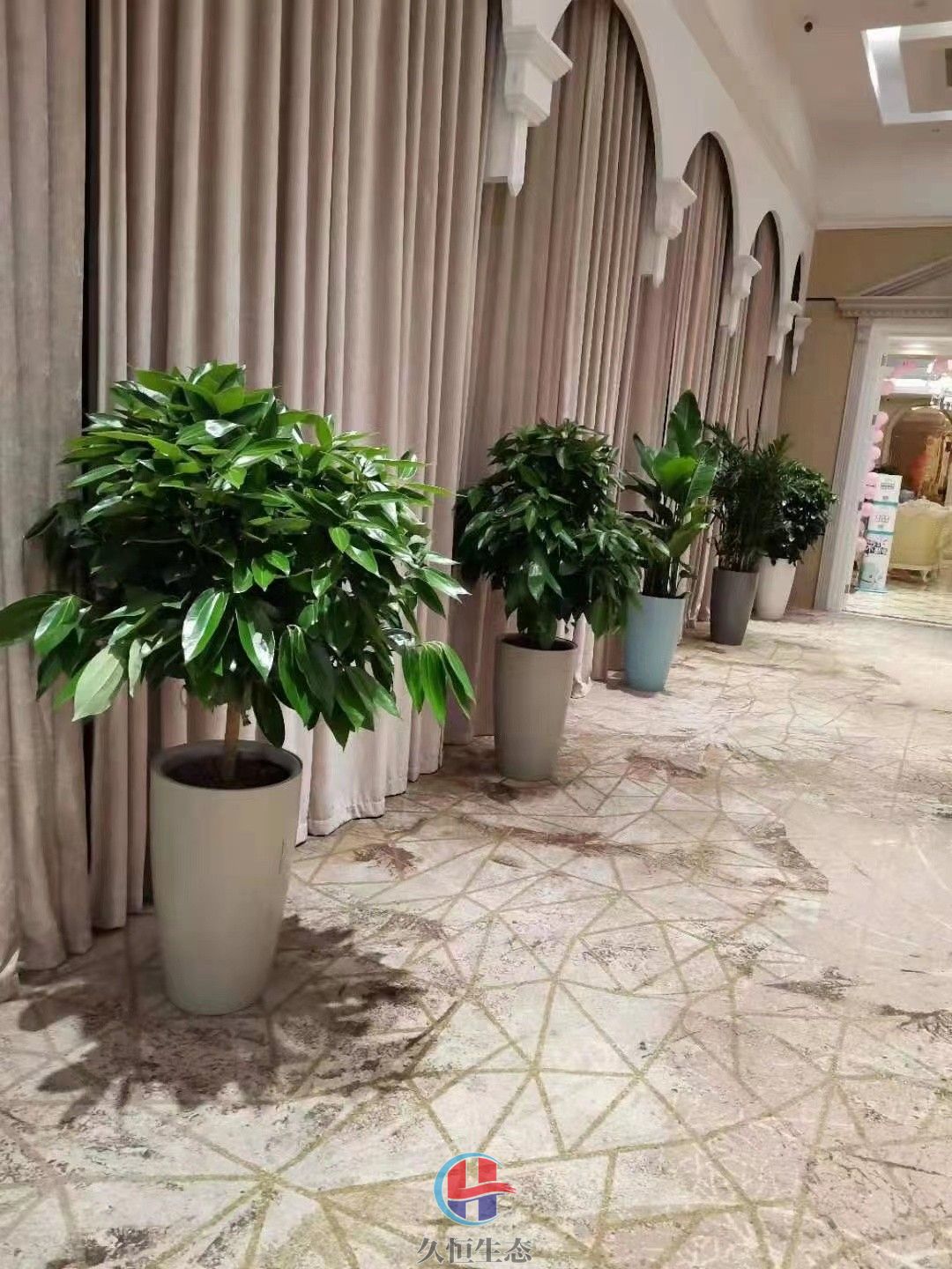 鄞州酒店走廊花卉绿植摆放